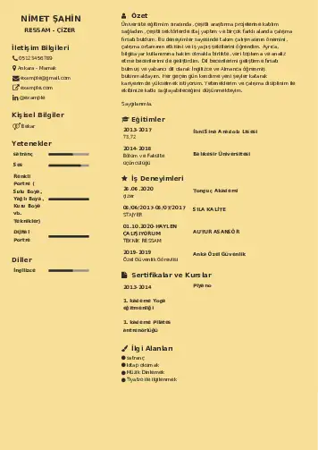 Ressam Cv Örnekleri cv indir